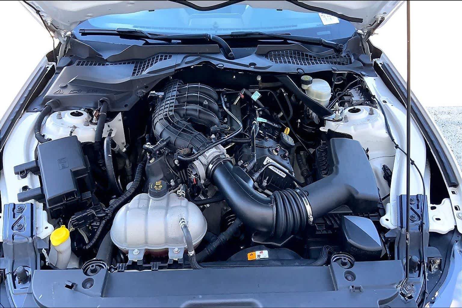 Used 2017 Ford Mustang Convertible w/ Equipment Group 051A RWD image 9