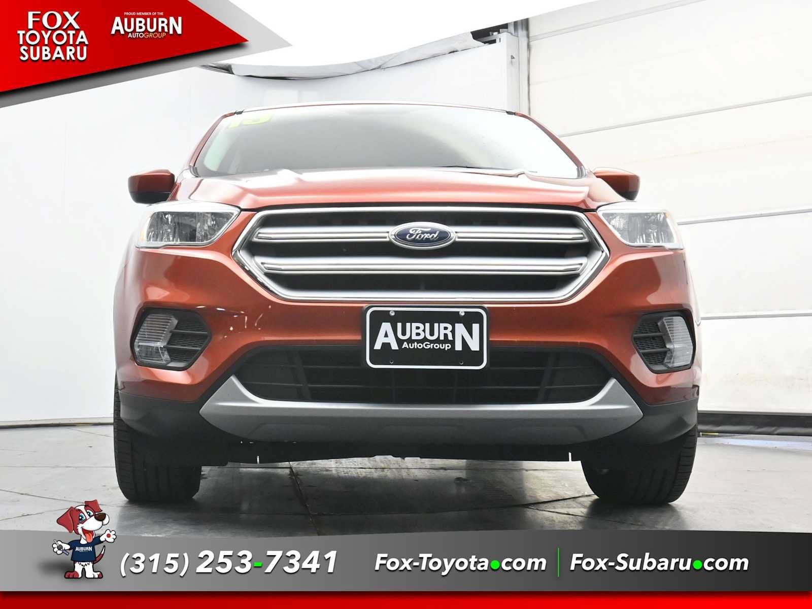 Used 2019 Ford Escape SE AWD/4WD image 24