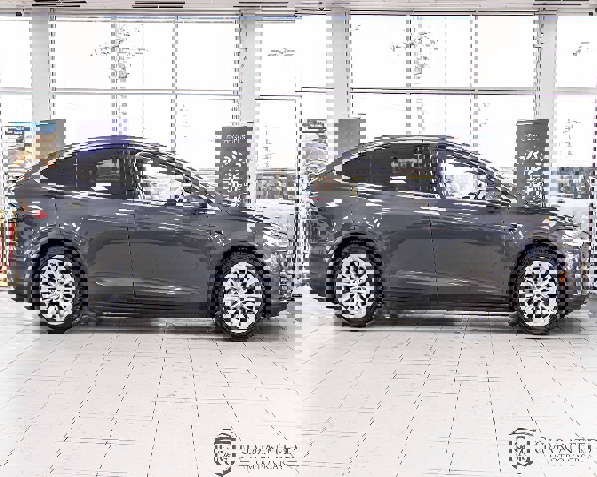 Used 2017 Tesla Model X 100D image 10