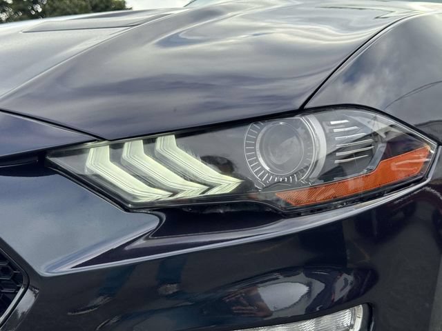 Used 2023 Ford Mustang Coupe w/ Equipment Group 101A RWD image 13