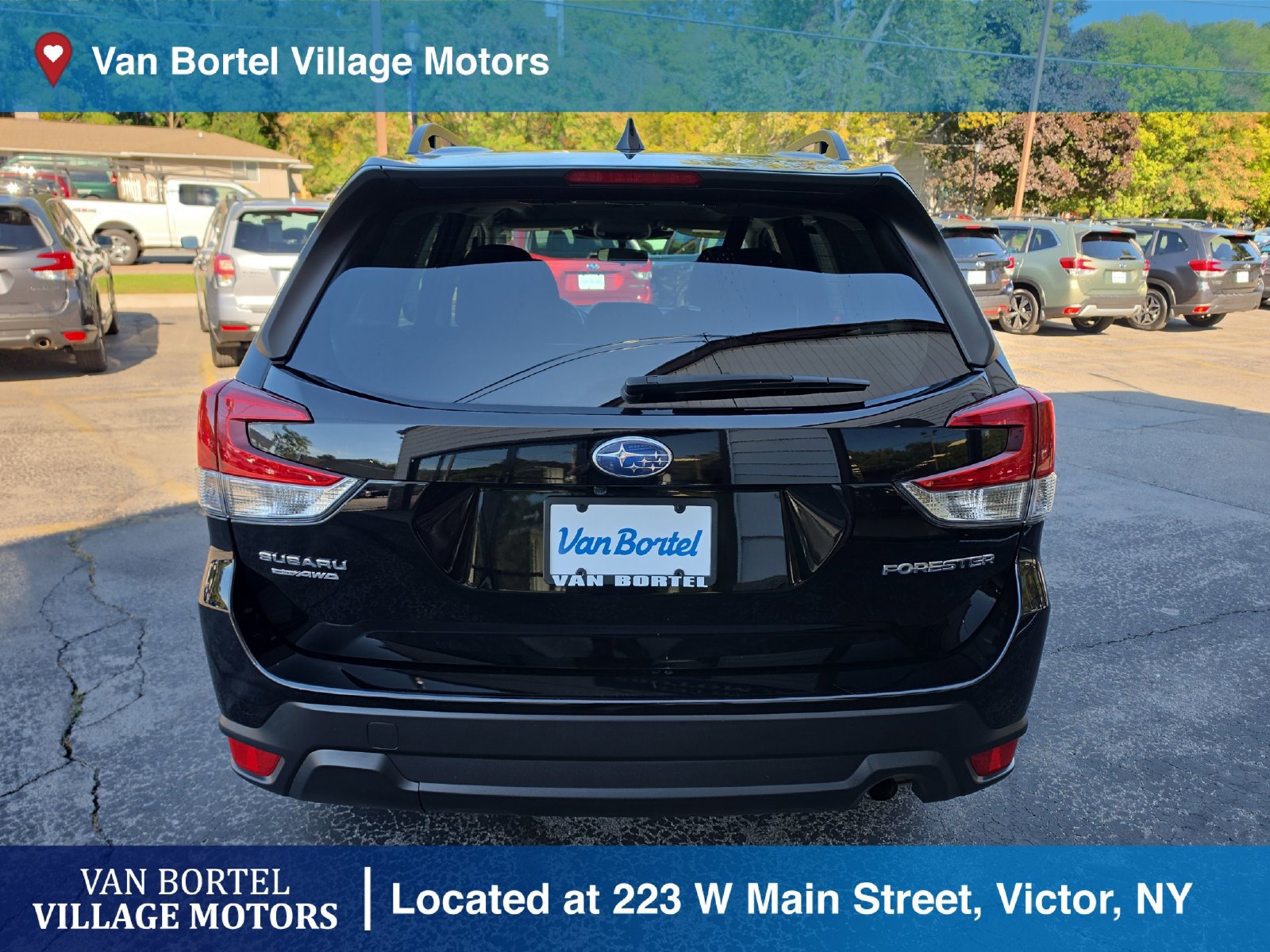 Used 2023 Subaru Forester Premium AWD/4WD image 6