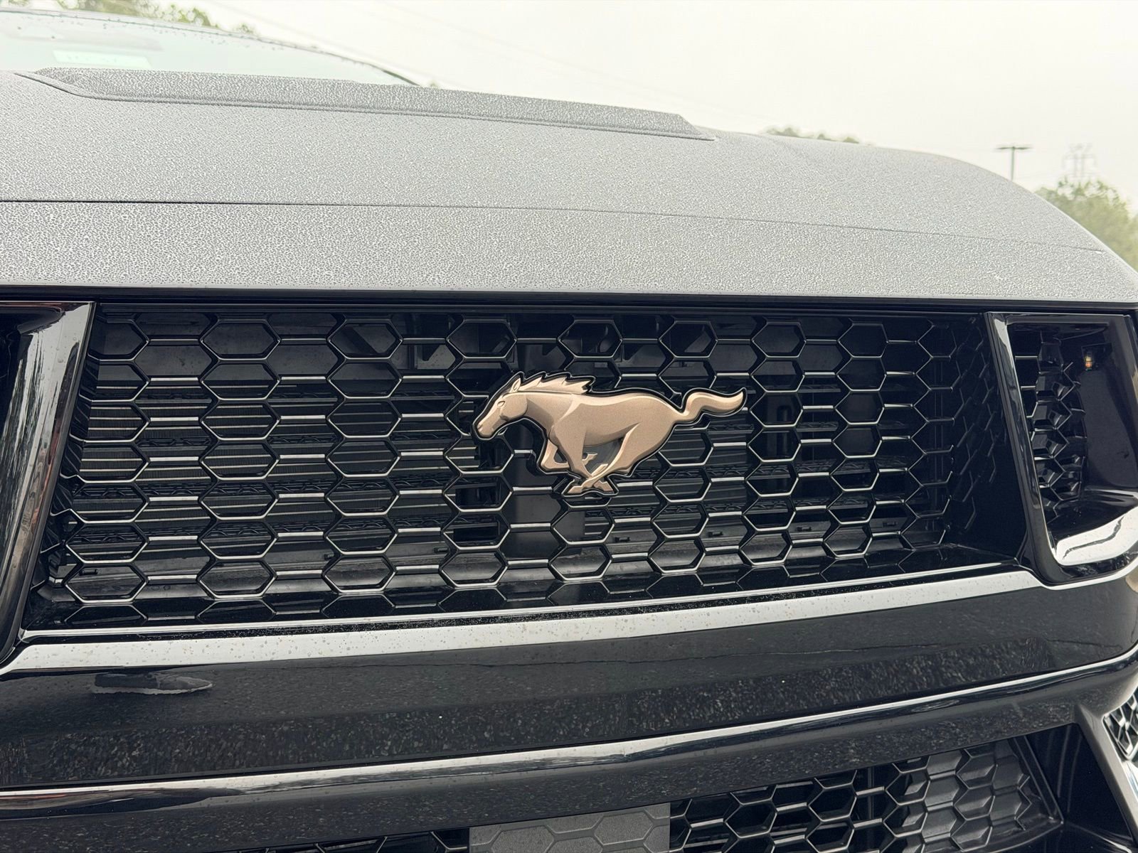 New 2026 Ford Mustang GT Premium RWD image 8