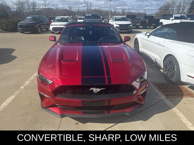 Used 2022 Ford Mustang Premium w/ Equipment Group 201A