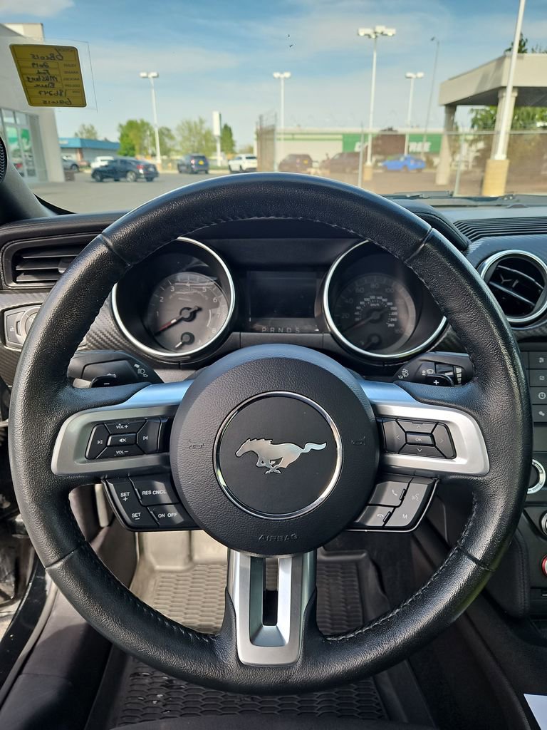 Used 2019 Ford Mustang Coupe RWD image 14