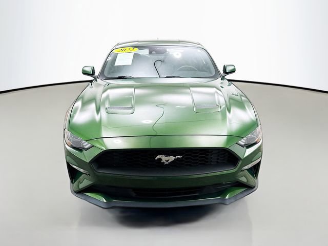 Used 2022 Ford Mustang Coupe w/ Equipment Group 101A RWD image 2