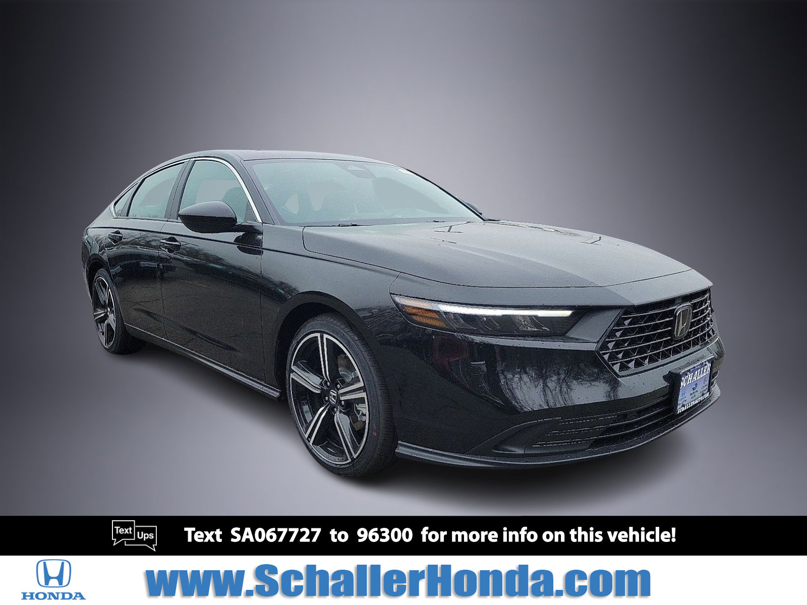 New 2025 Honda Accord Sport