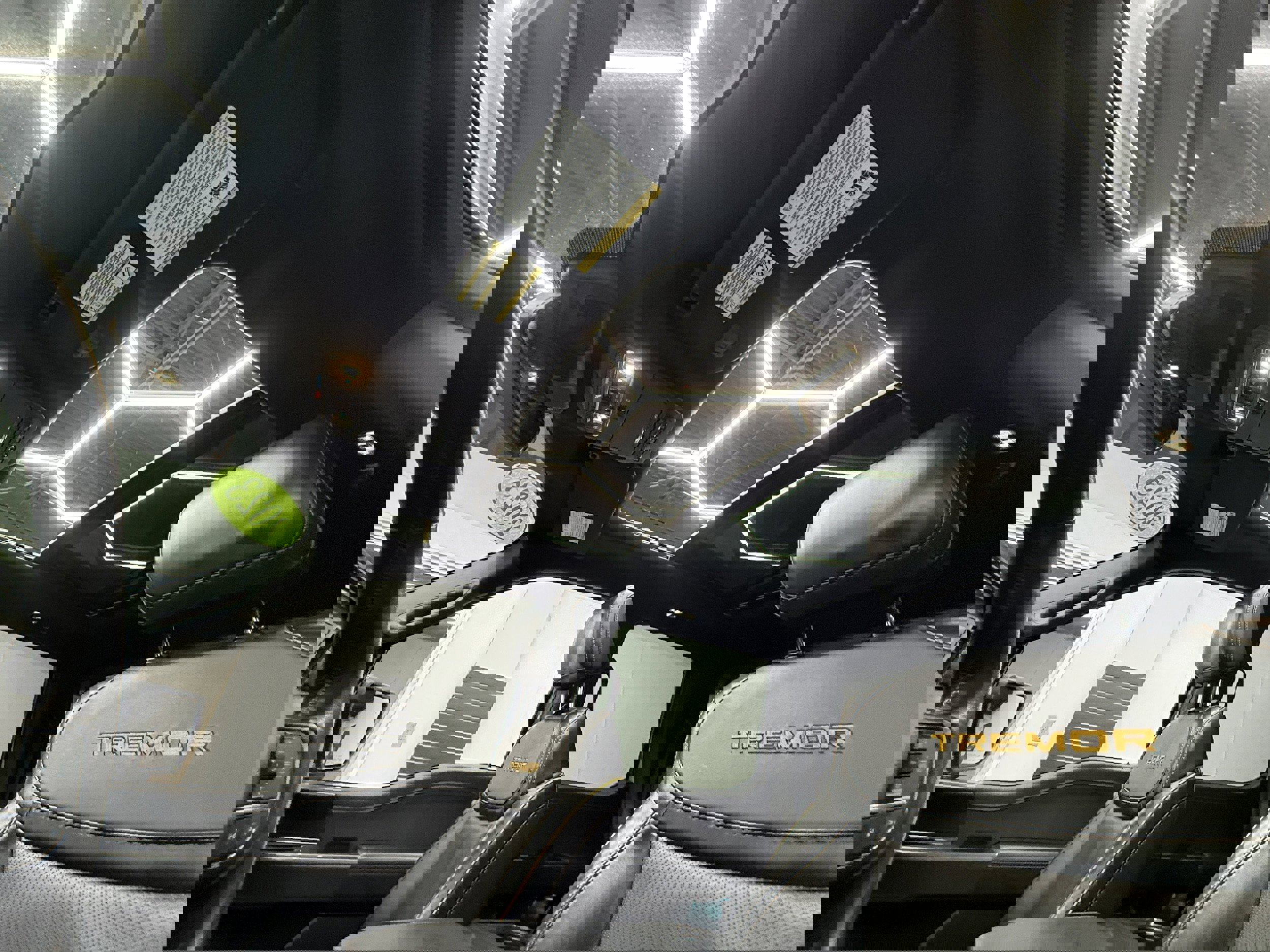 Used 2023 Ford F150 Tremor image 13