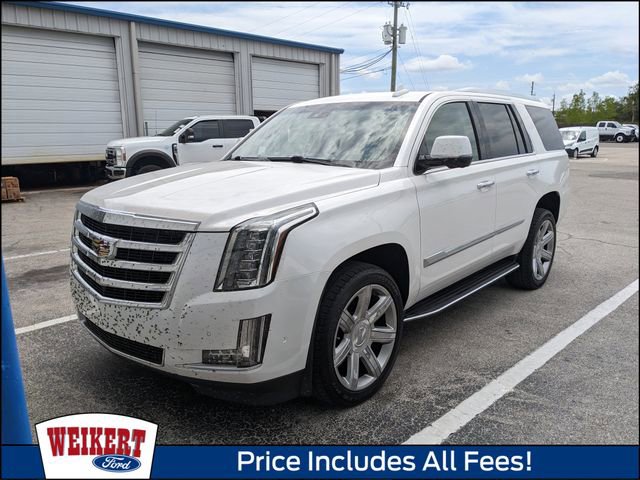Used 2019 Cadillac Escalade Luxury AWD/4WD image 1