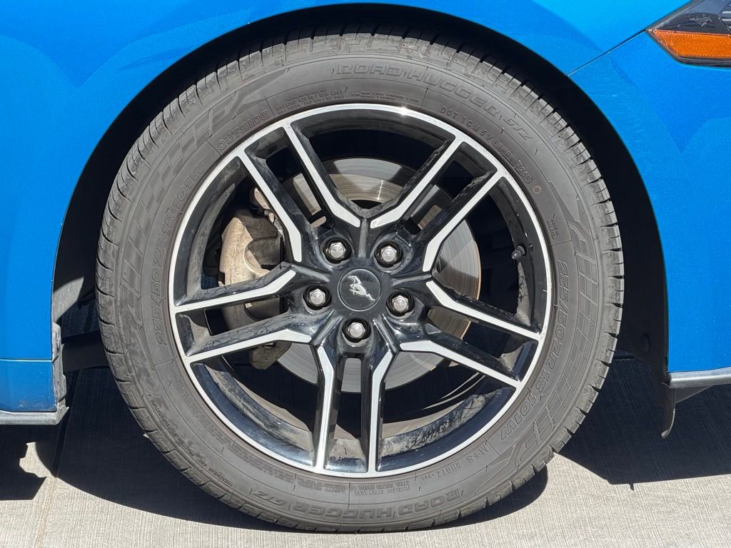 Used 2019 Ford Mustang EcoBoost w/ Equipment Group 101A image 7