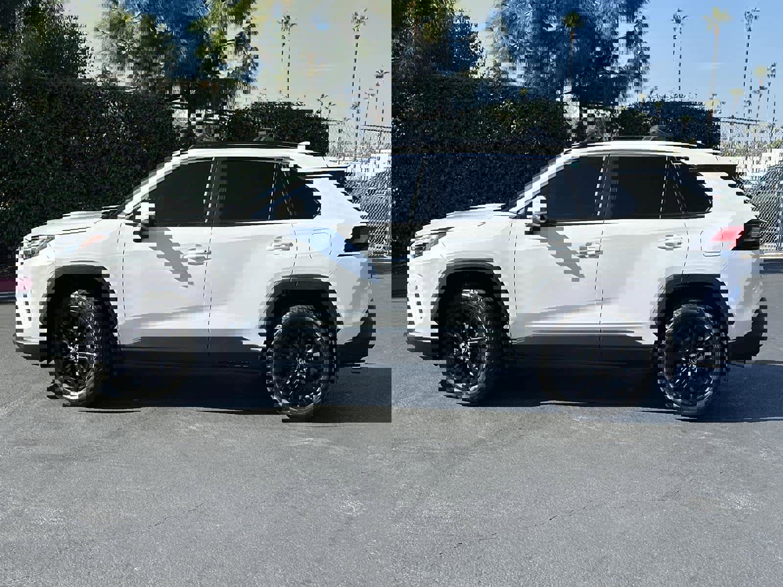 Used 2025 Toyota RAV4 XLE Premium image 3