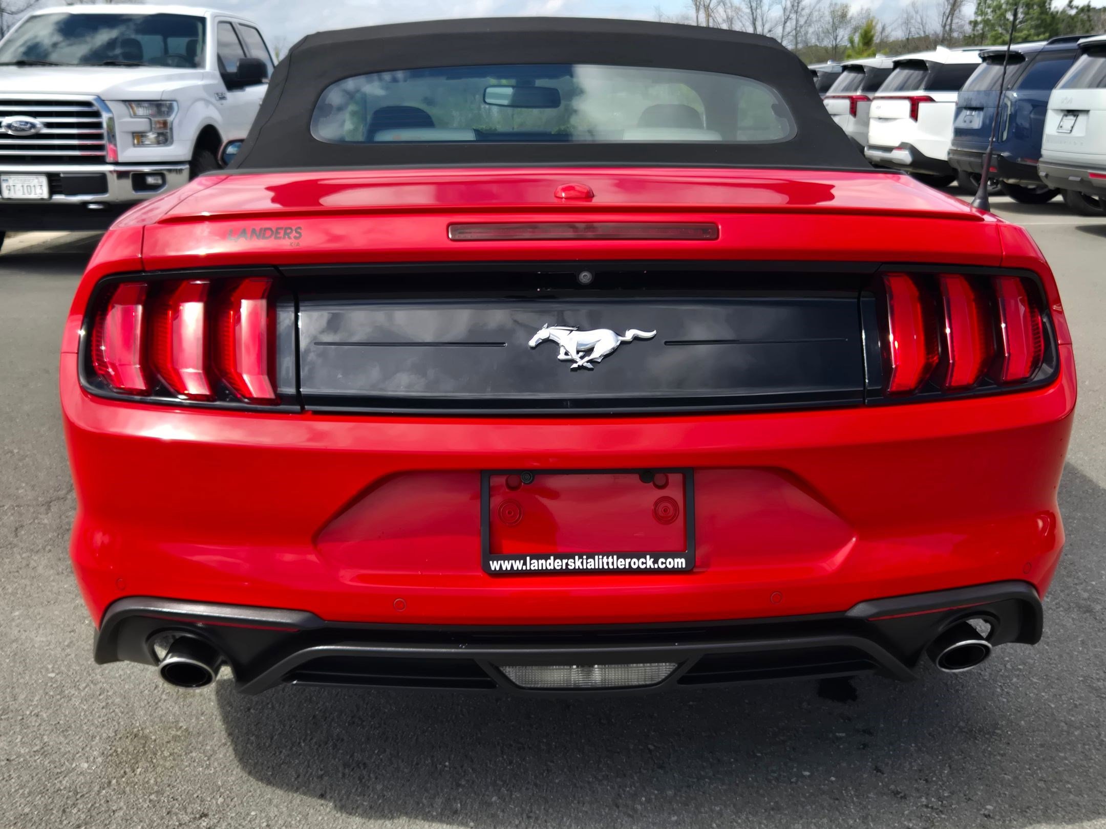 Used 2019 Ford Mustang Premium image 6