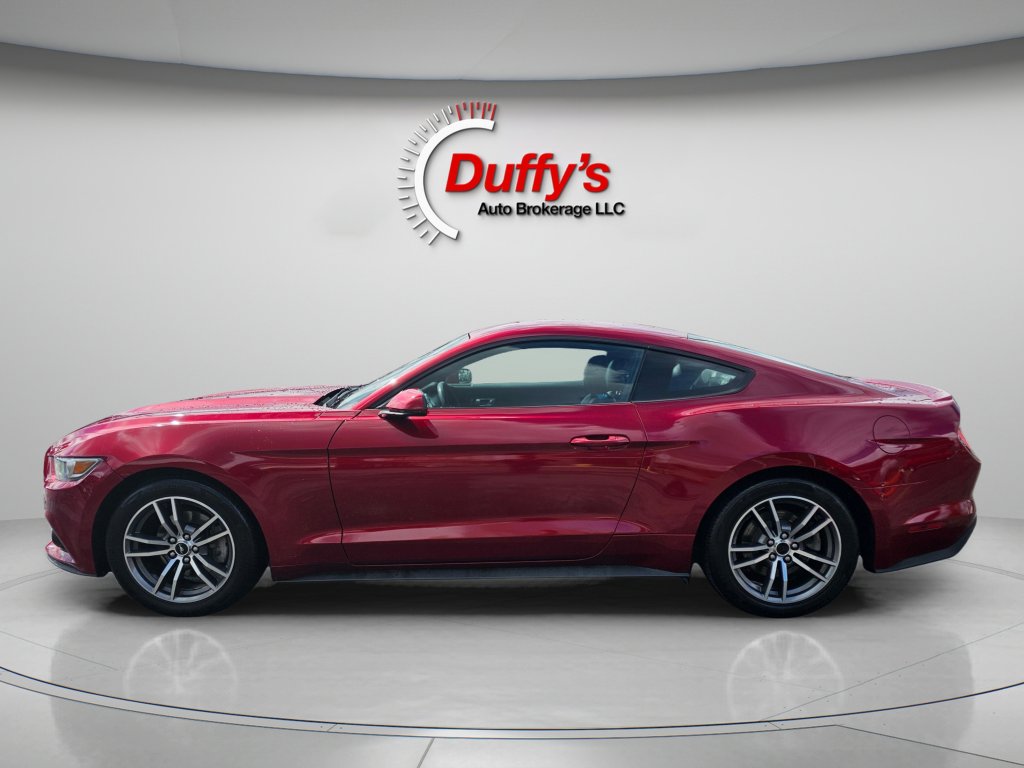 Used 2015 Ford Mustang Premium w/ Equipment Group 201A RWD image 14