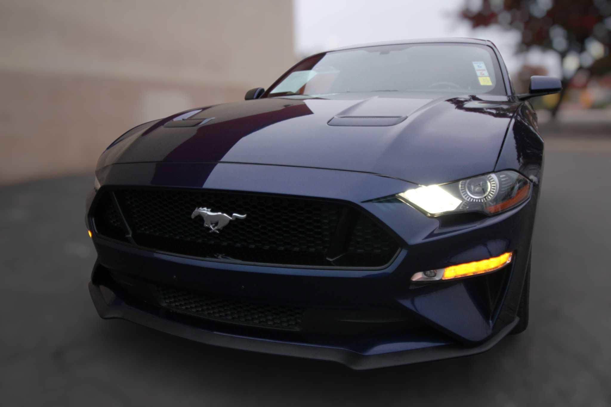 Used 2019 Ford Mustang GT RWD image 3