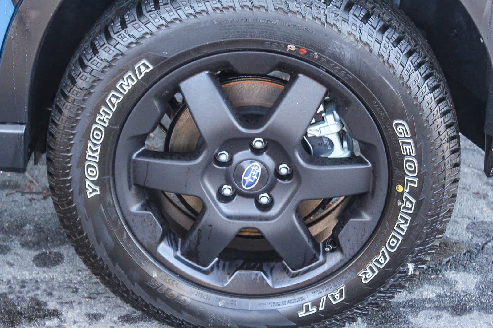 New 2025 Subaru Outback Wilderness image 11