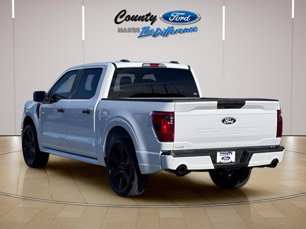 Used 2025 Ford F150 STX w/ LOBO Package image 23