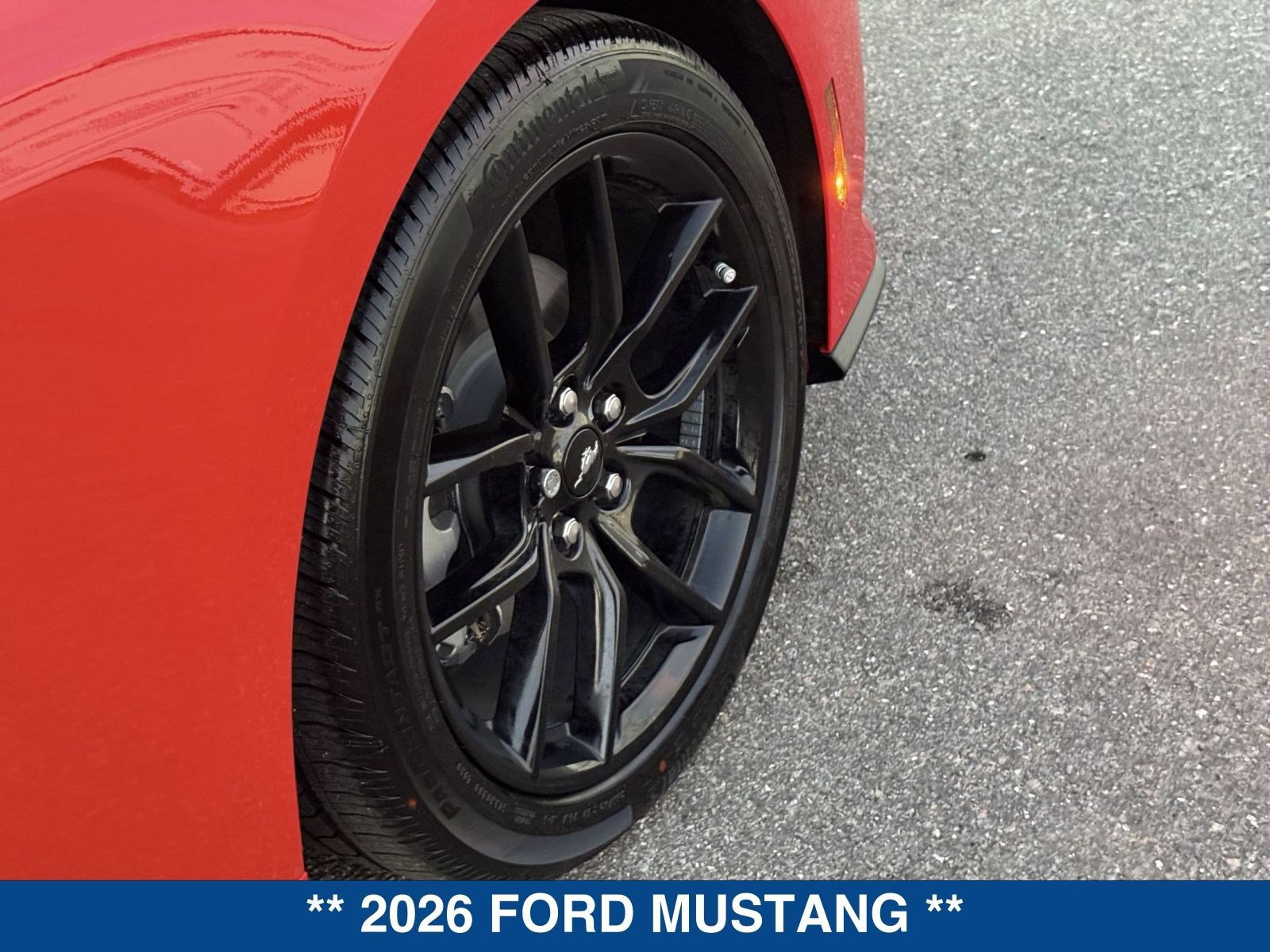 New 2026 Ford Mustang Convertible w/ Mustang Nite Pony Package image 13