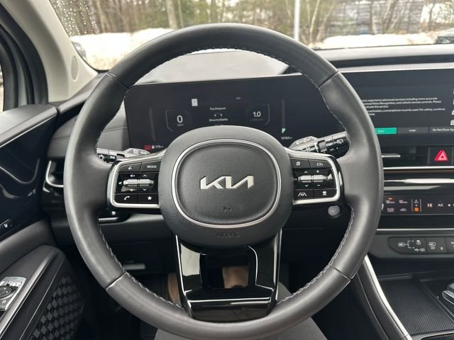 Used 2025 Kia Carnival SX Prestige image 17