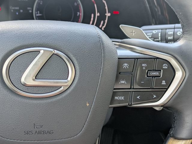 Used 2023 Lexus RX 350 Premium Plus w/ Cold Area Package image 18
