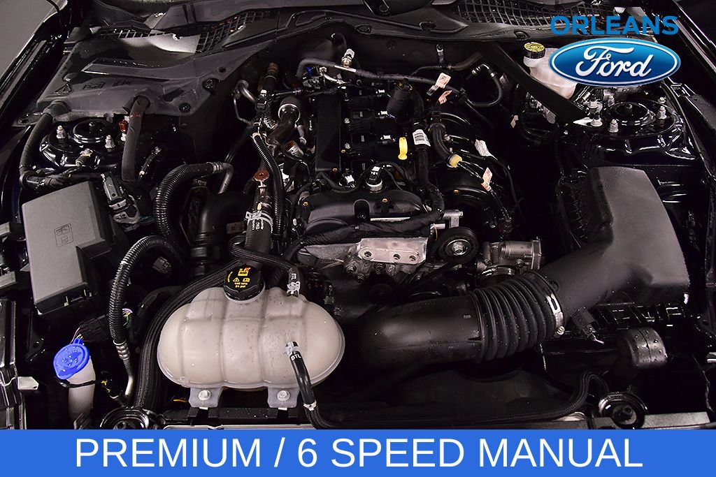 Used 2021 Ford Mustang Premium w/ Equipment Group 201A RWD image 33