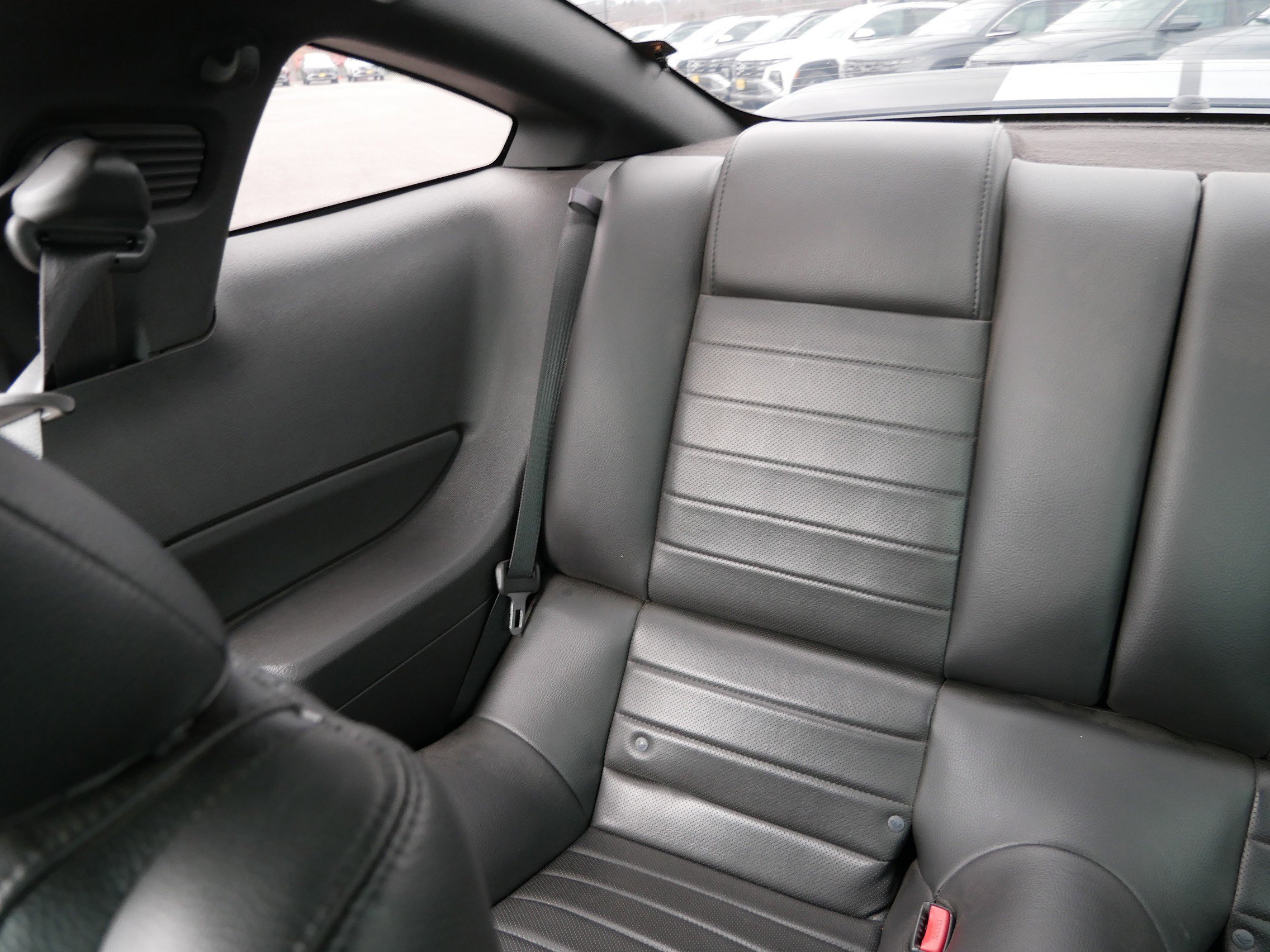 Used 2008 Ford Mustang Shelby GT500 image 12