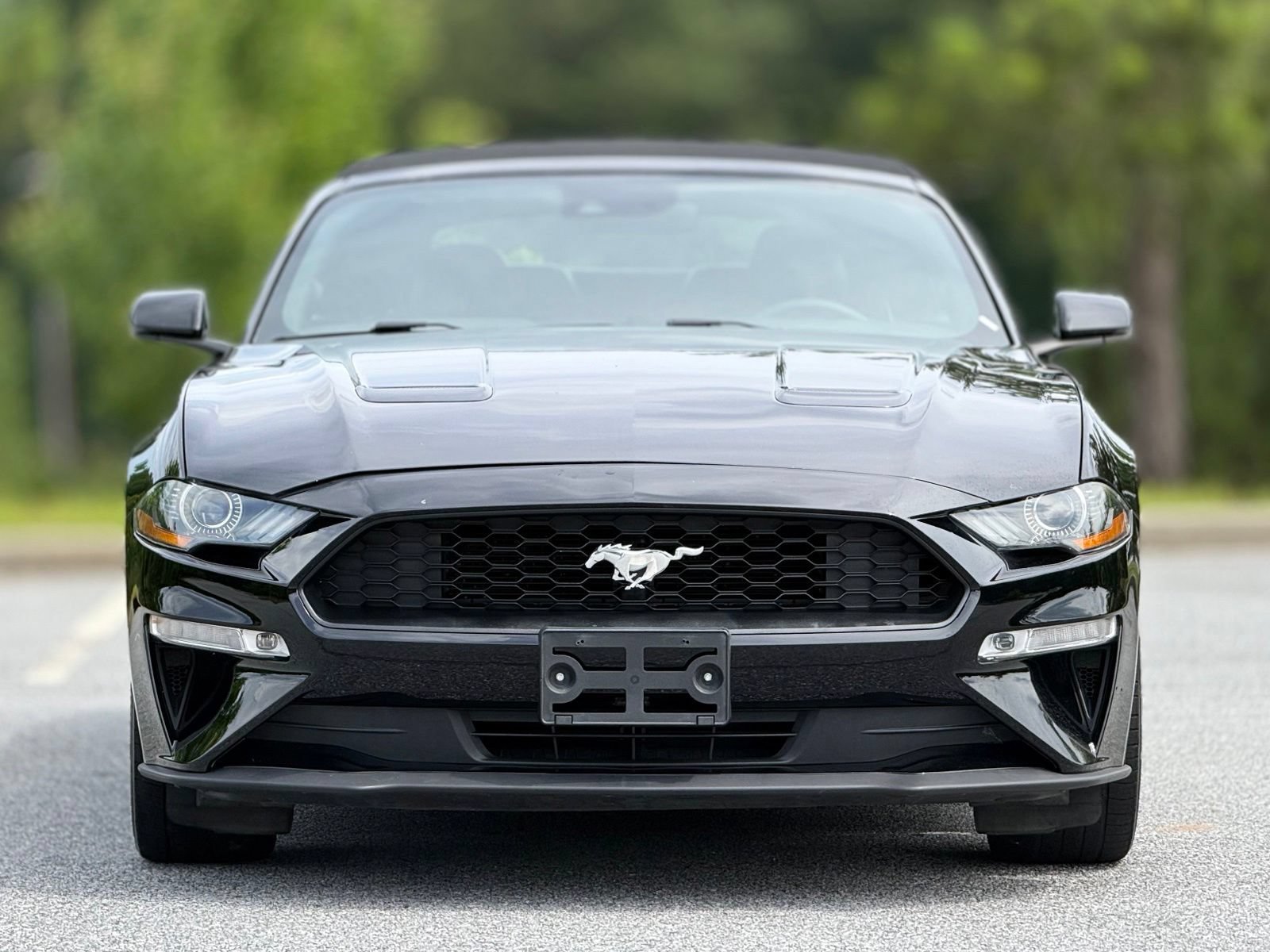 Used 2019 Ford Mustang Premium w/ Equipment Group 201A RWD image 3