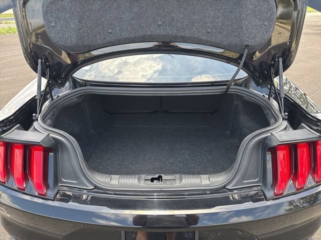 Used 2020 Ford Mustang GT w/ Equipment Group 301A RWD image 7