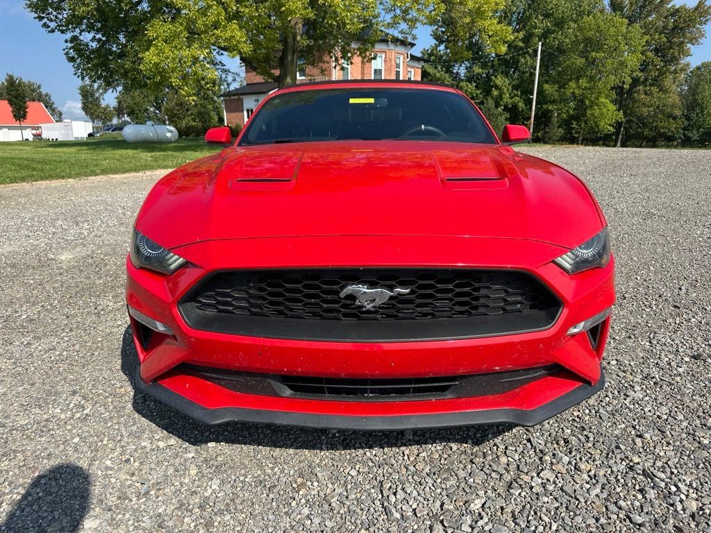 Used 2018 Ford Mustang Premium RWD image 2