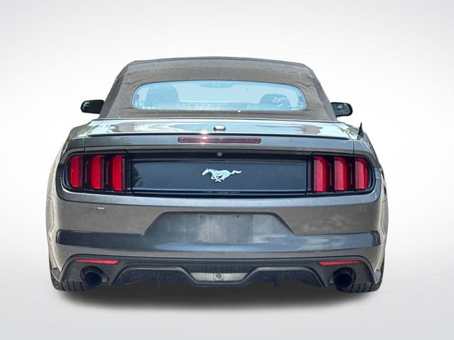 Used 2017 Ford Mustang Premium RWD image 4
