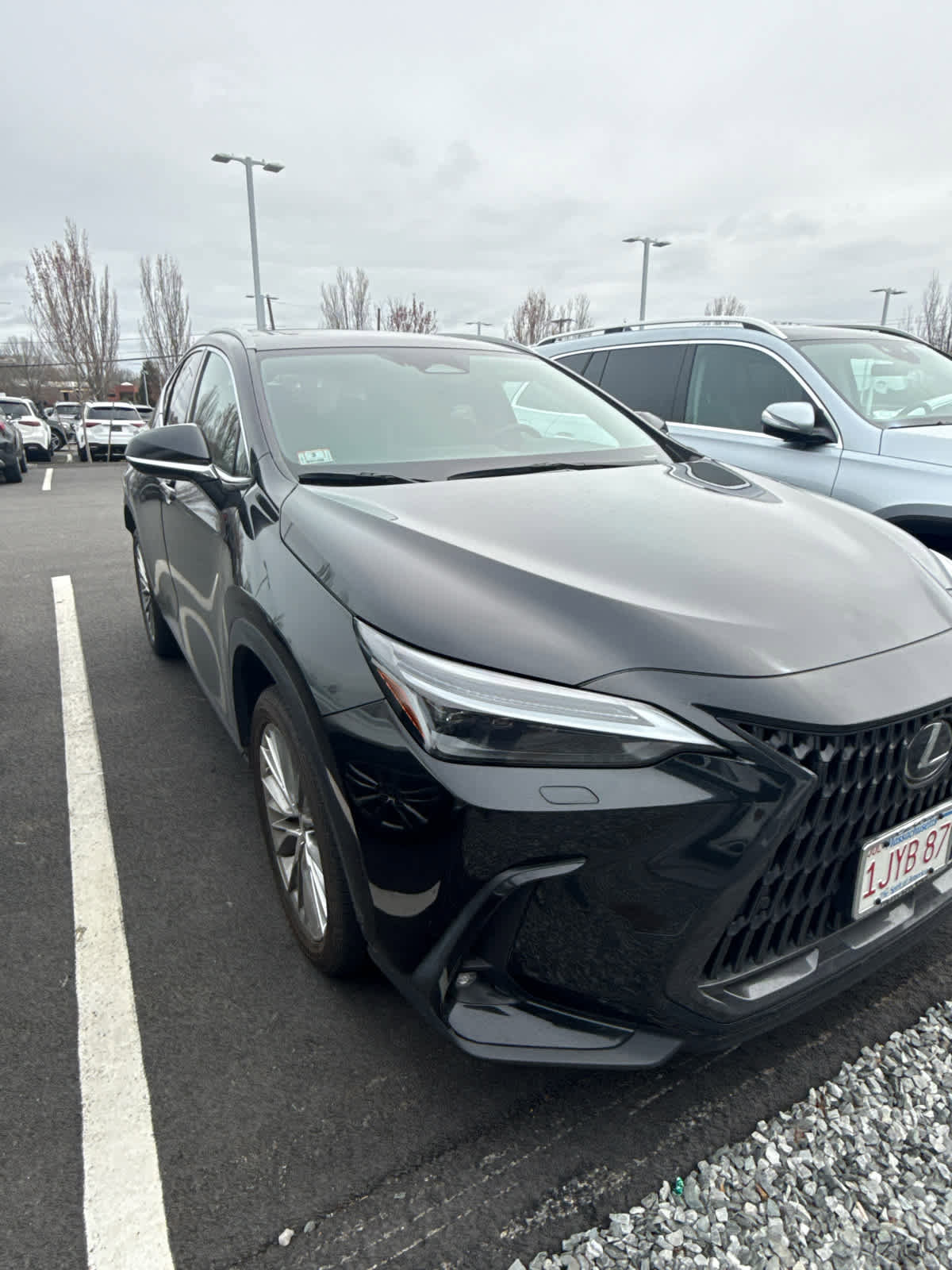 Used 2023 Lexus NX 350 AWD image 7