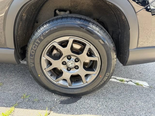 Used 2025 Honda Pilot TrailSport image 12