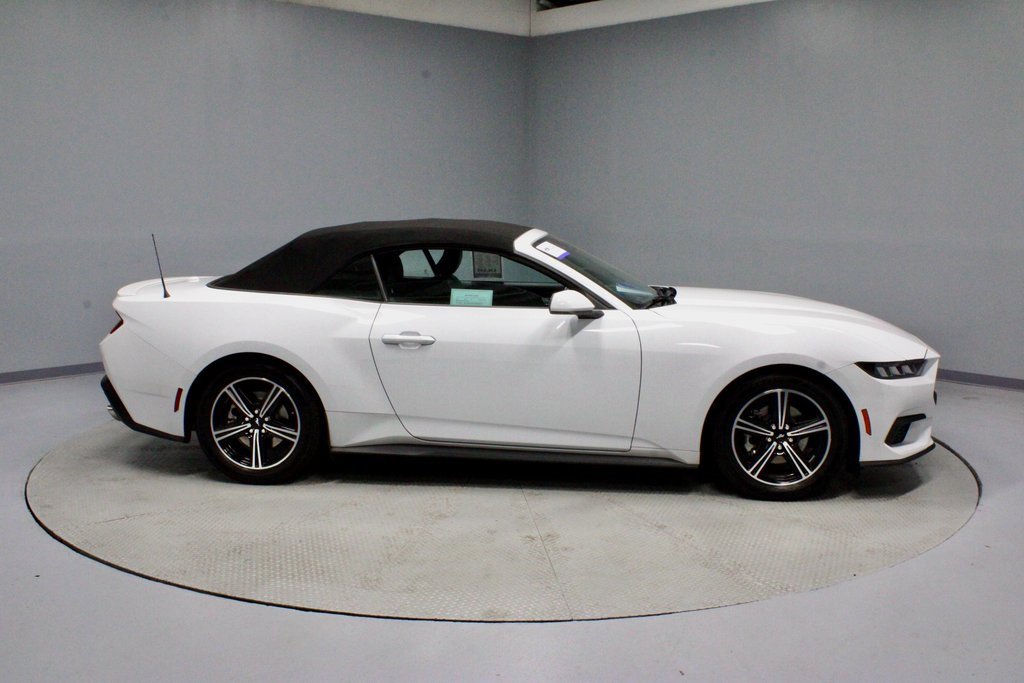 Certified 2024 Ford Mustang Premium image 12