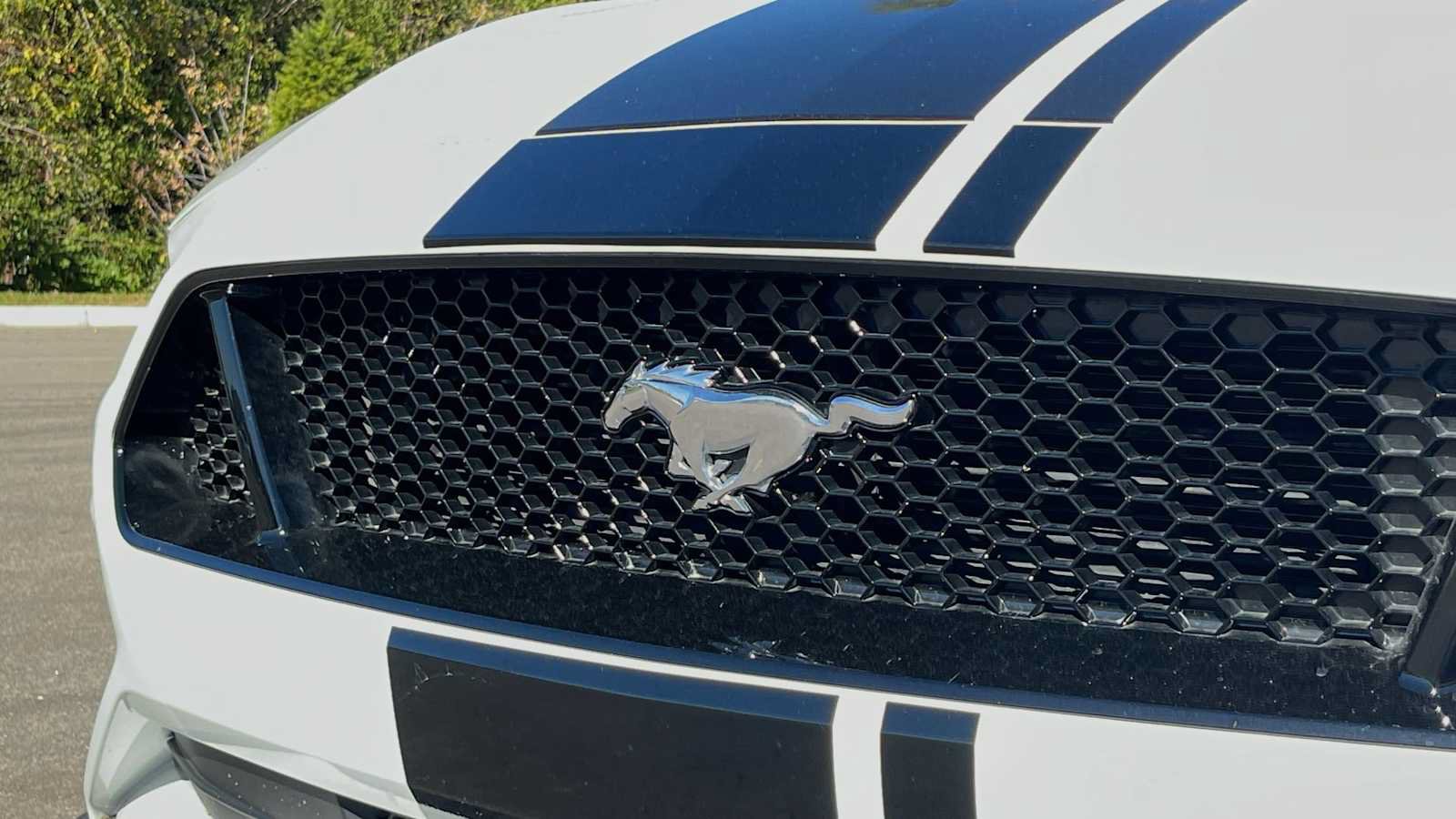 Used 2019 Ford Mustang GT Premium w/ Equipment Group 401A RWD image 24