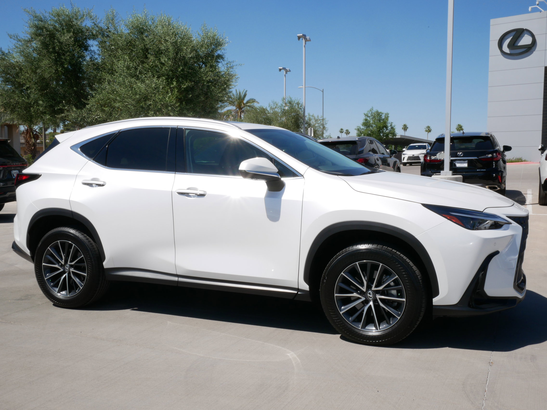 Certified 2025 Lexus NX 350 AWD w/ Cold Area Package image 15
