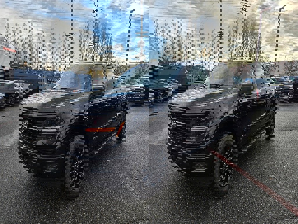 New 2025 Ford F150 XLT w/ Equipment Group 302A MID image 1