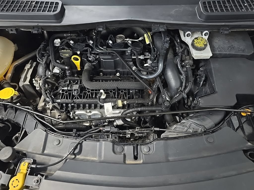 Certified 2019 Ford Escape SE AWD/4WD image 15