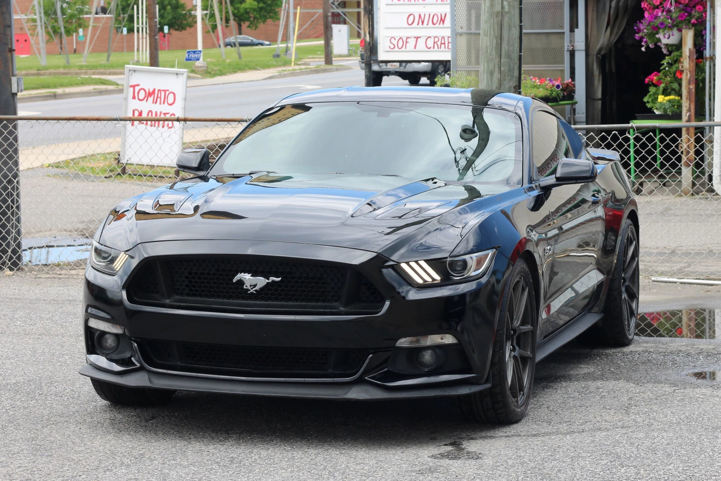 Used 2017 Ford Mustang GT w/ GT Performance Package RWD image 3
