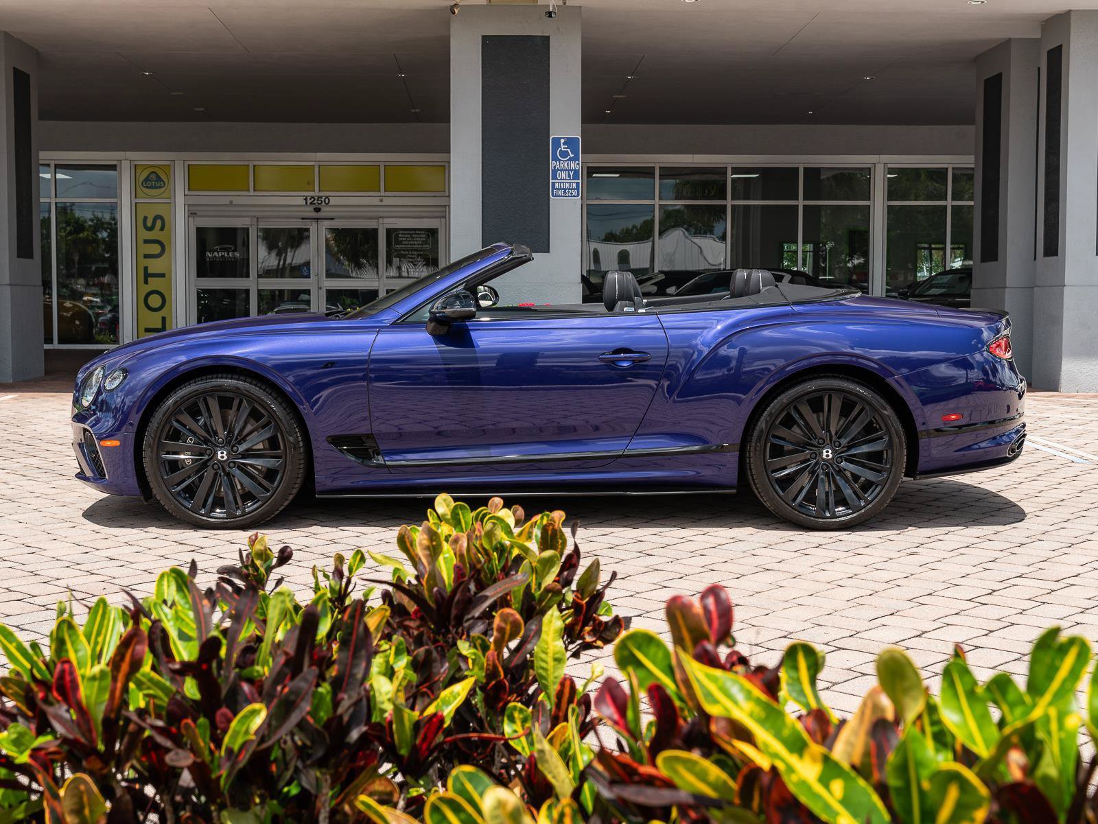 Used 2023 Bentley Continental GT S AWD/4WD image 36