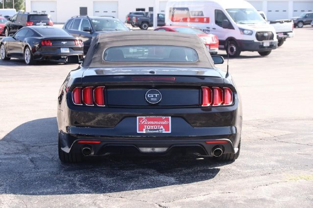 Used 2015 Ford Mustang GT Premium w/ Equipment Group 401A RWD image 6