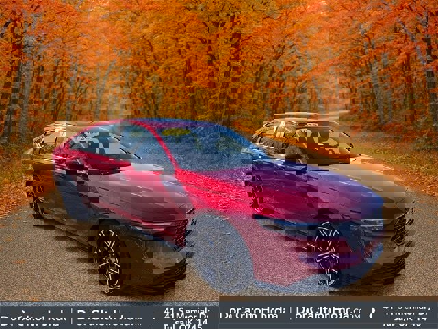 Used 2025 Honda Accord Sport image 1