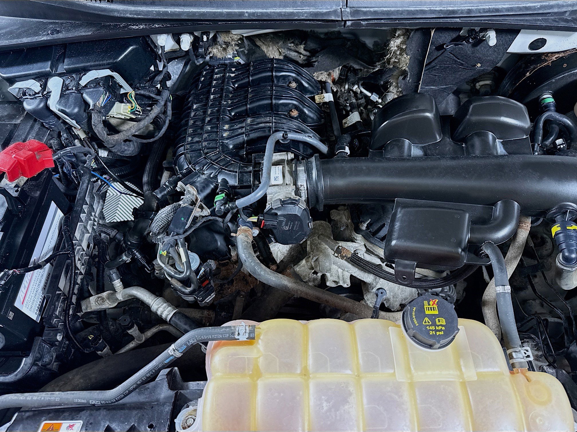 Used 2018 Ford F150 XL w/ Trailer Tow Package w/101A image 33