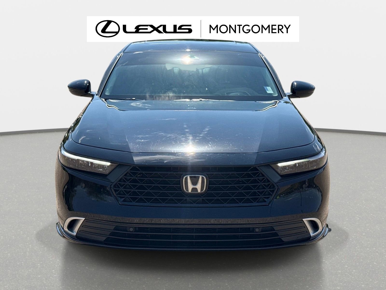 Used 2024 Honda Accord Touring image 8