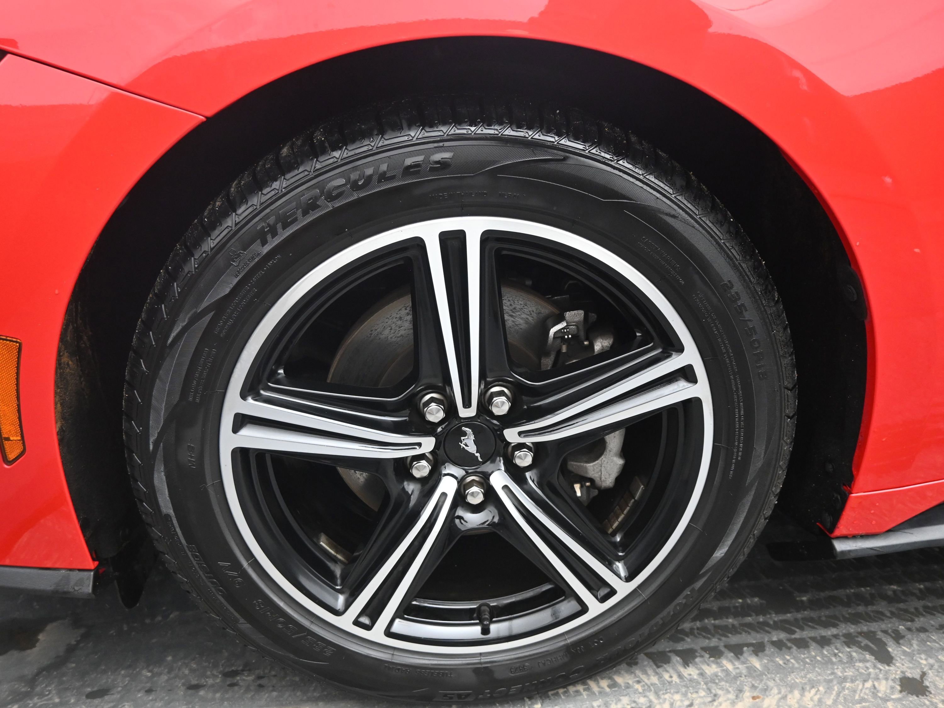 Used 2024 Ford Mustang EcoBoost image 11