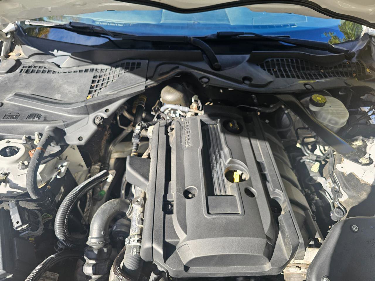 Used 2018 Ford Mustang Premium RWD image 26