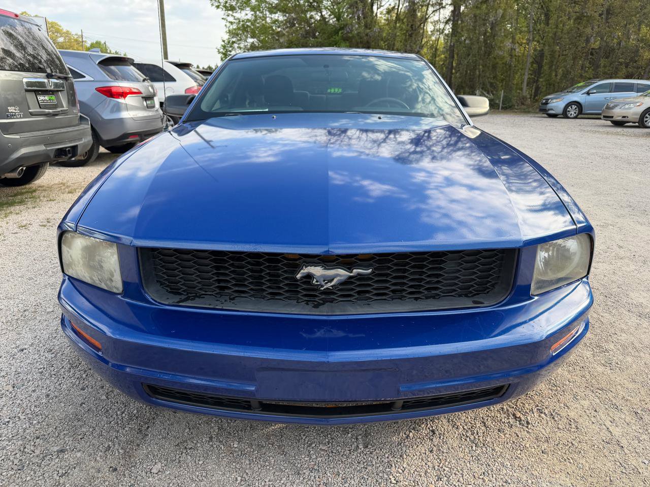 Used 2009 Ford Mustang Coupe image 6