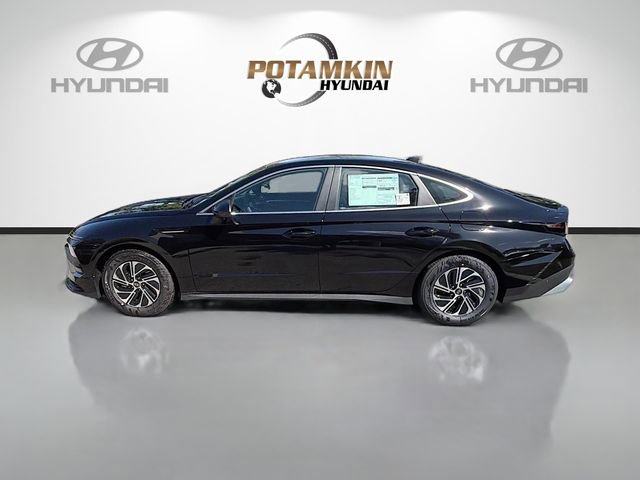 New 2026 Hyundai Sonata Blue image 8
