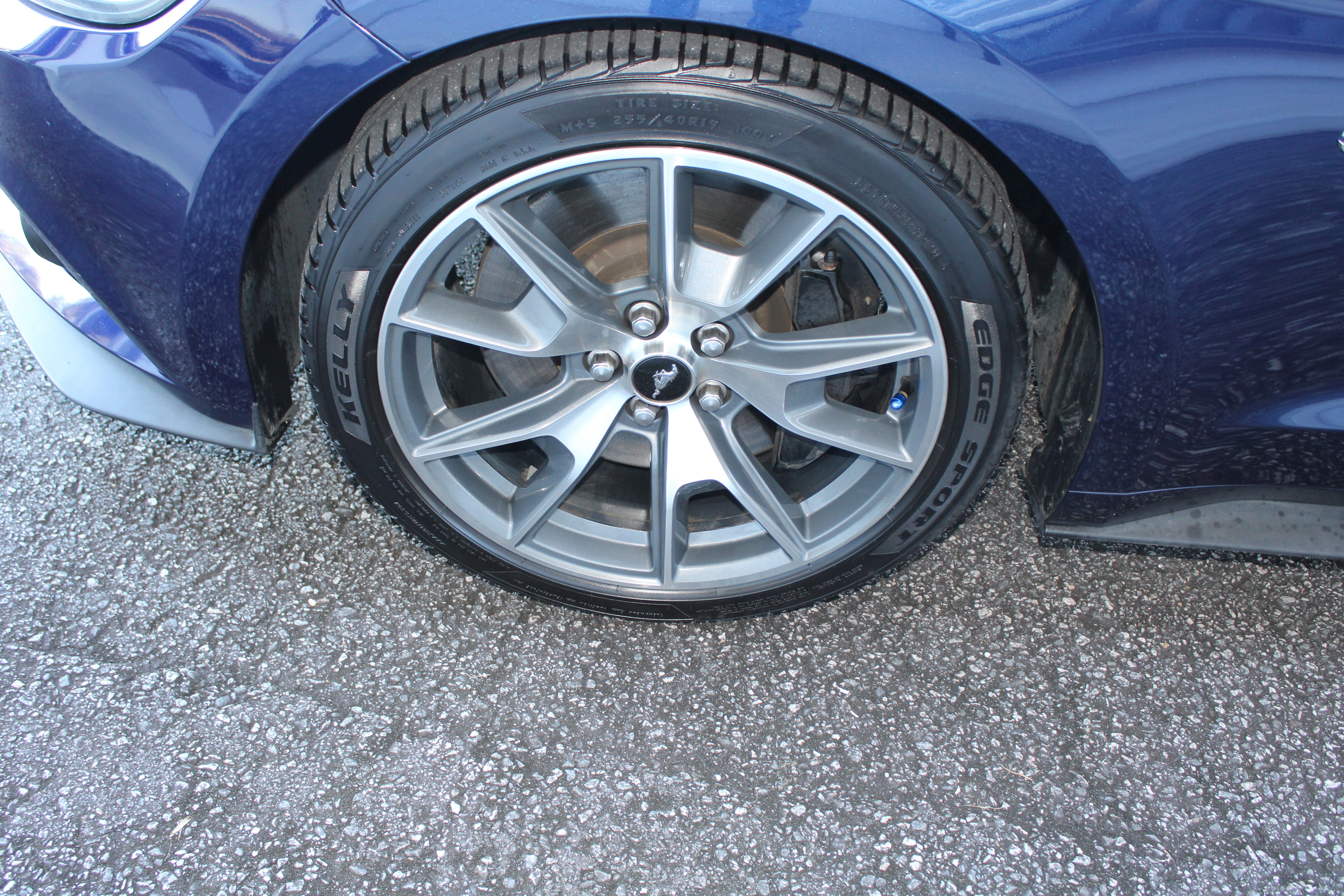 Used 2015 Ford Mustang 50 Years image 11