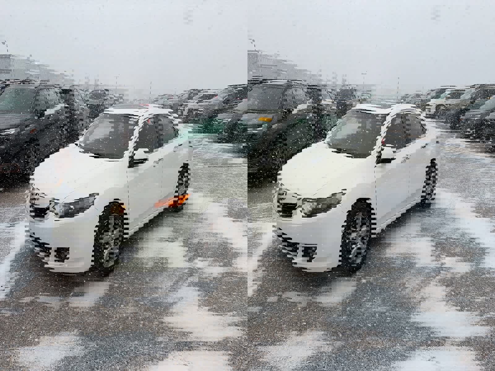 Used 2010 Acura TSX Sedan image 1