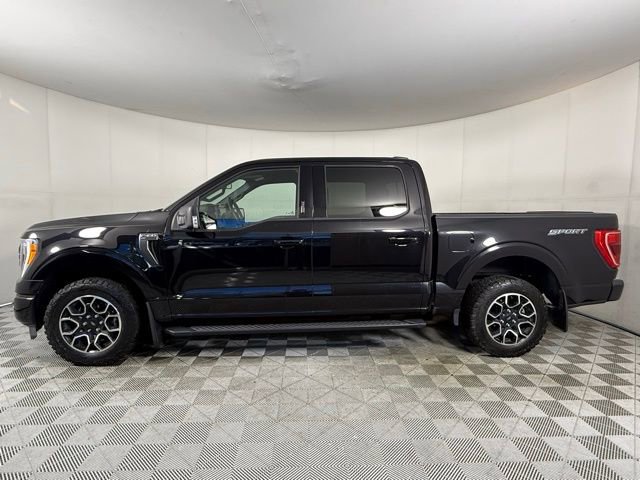Used 2022 Ford F150 XLT w/ Equipment Group 302A High image 3
