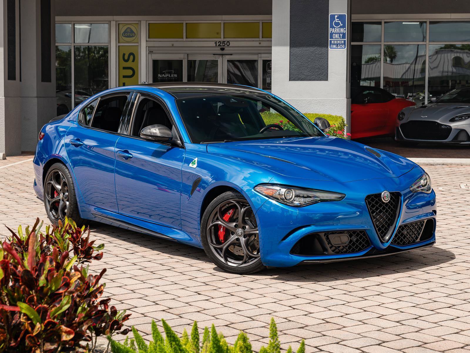 Used 2023 Alfa Romeo Giulia Quadrifoglio image 3