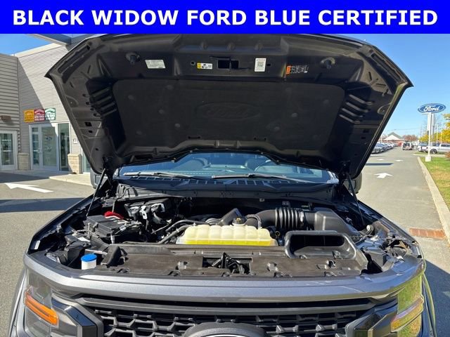 Certified 2024 Ford F150 XLT w/ Equipment Group 303A High image 13